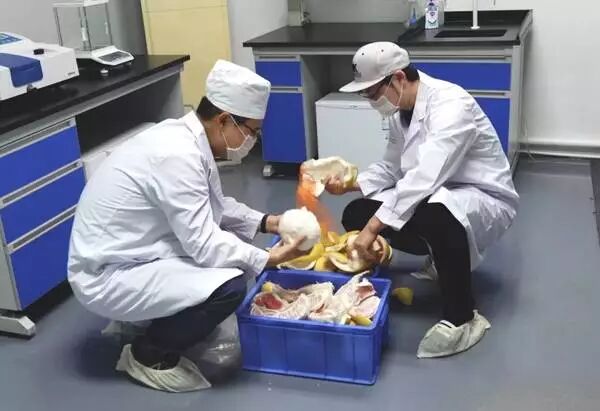 100万实验室日本极客小哥实测。新装修治理，除了开窗通风，你是否会用绿萝、果皮、活性炭等除甲醛？