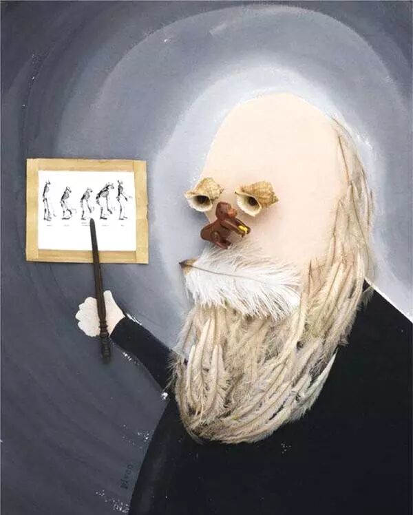 100万实验室日本极客小哥实测。新装修治理，除了开窗通风，你是否会用绿萝、果皮、活性炭等除甲醛？