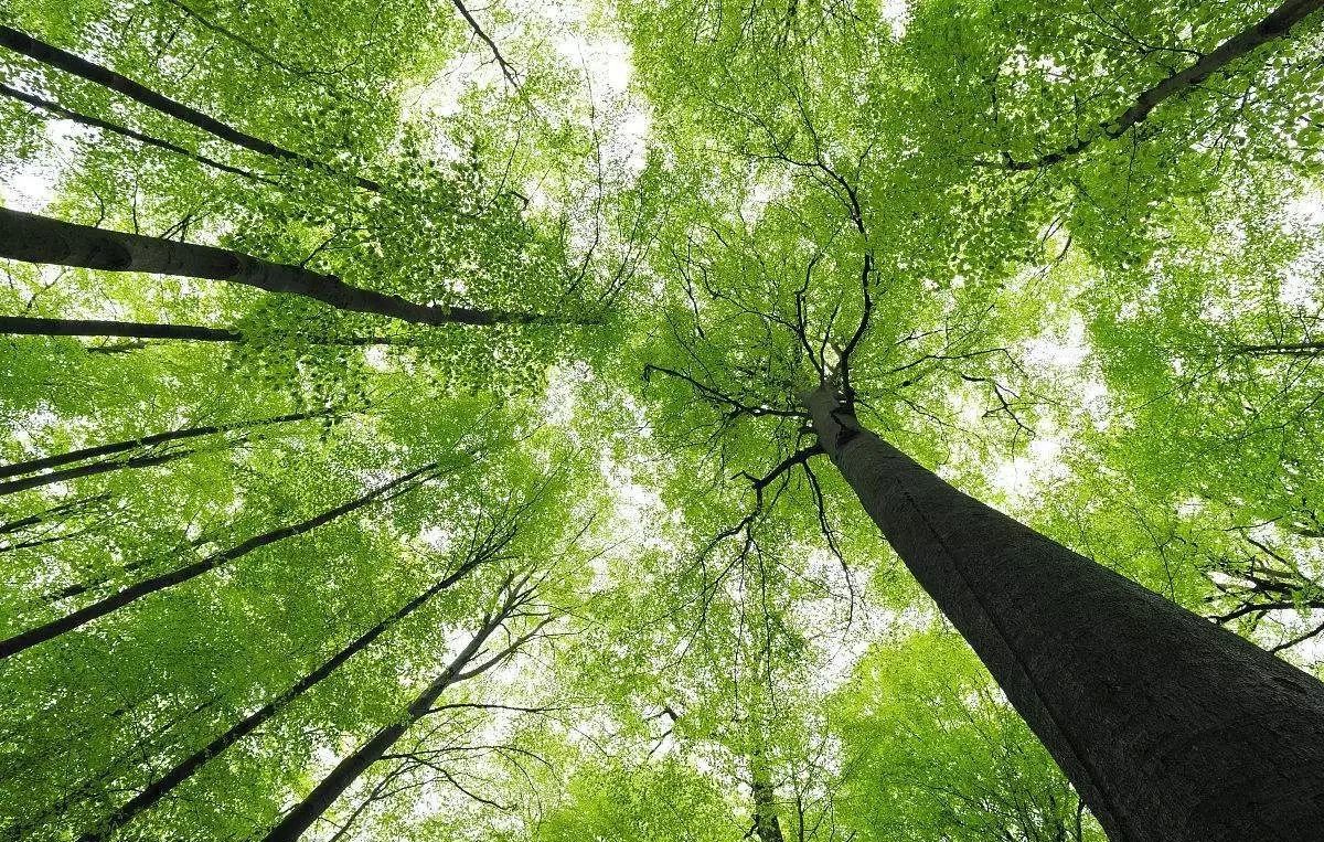 那年那月那片天