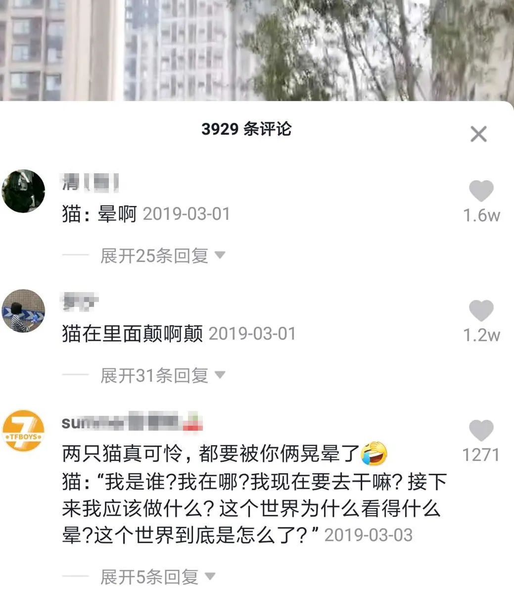 网红猫包，毁猫不倦- 当时我就震惊了 微信公众号文章阅读- WeMP