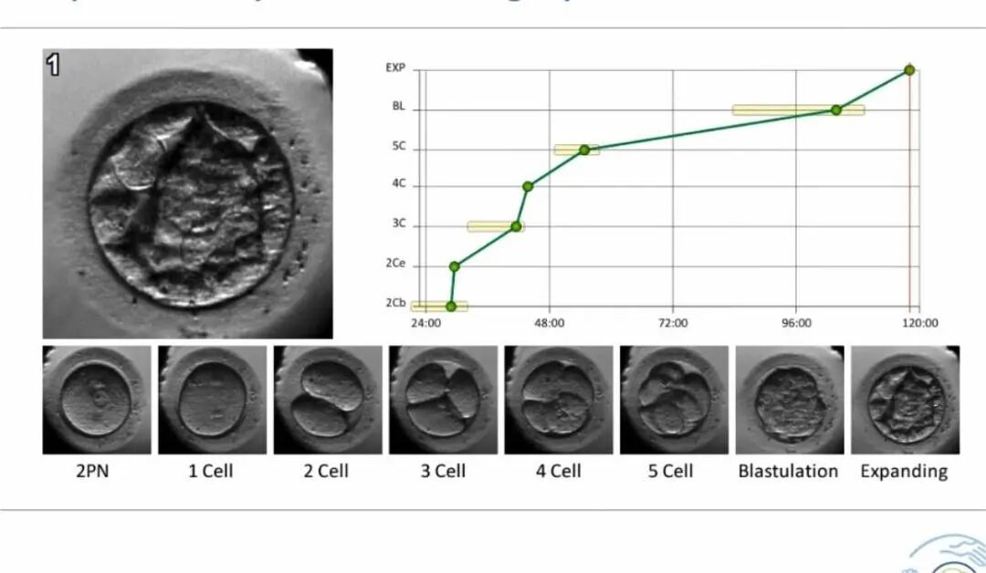什么是婴儿培养箱开眼界！在这里胚胎宝宝生来就住上了“豪华单间”！_https://www.jmylbn.com_新闻资讯_第6张