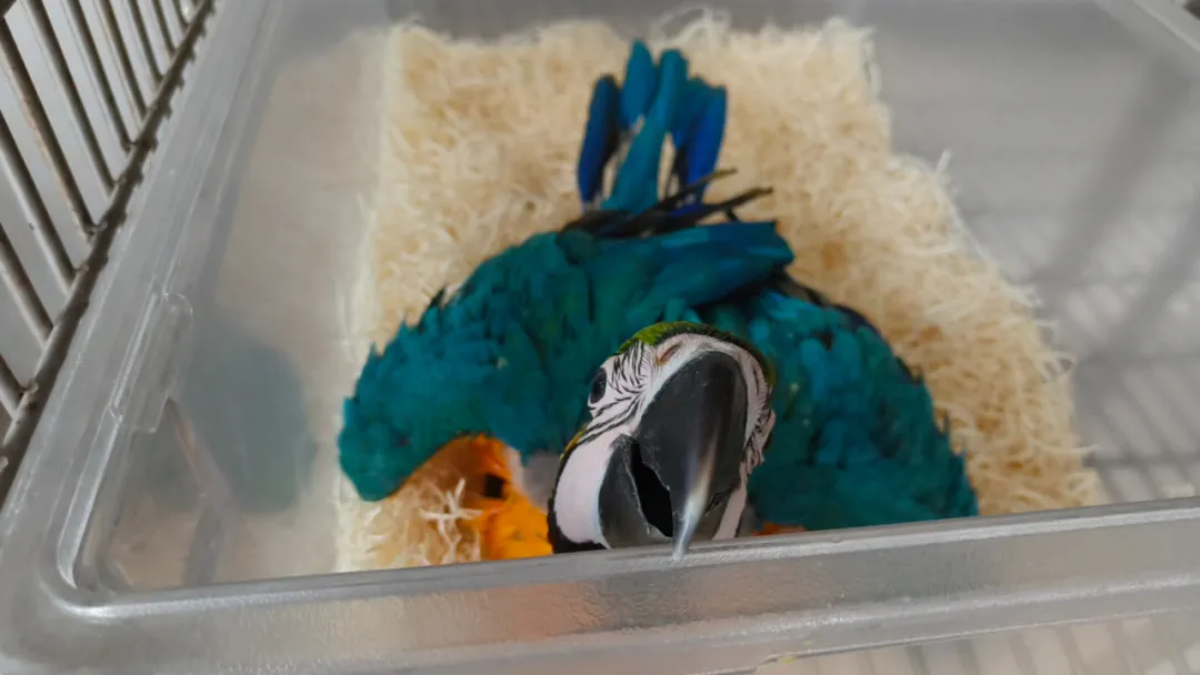 高清吸泥机图片分享(吸泥机与刮泥机的区别主要在哪里)