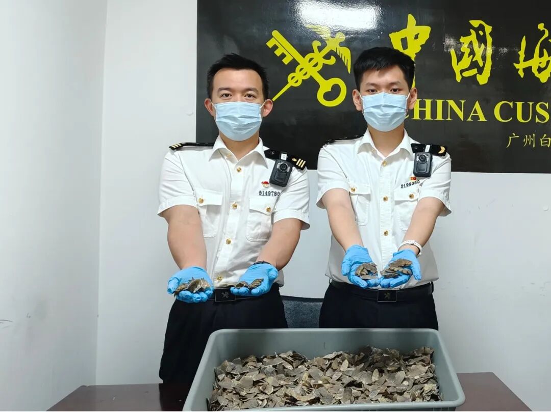 图源：“海关发布”微信公众号