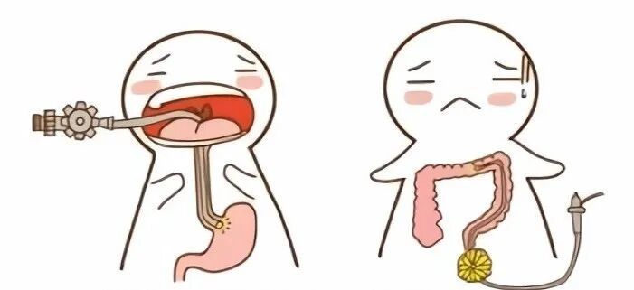 一次性活检钳检查什么【南医科普】关于胃肠镜检查的那些事儿_https://www.jmylbn.com_新闻资讯_第5张