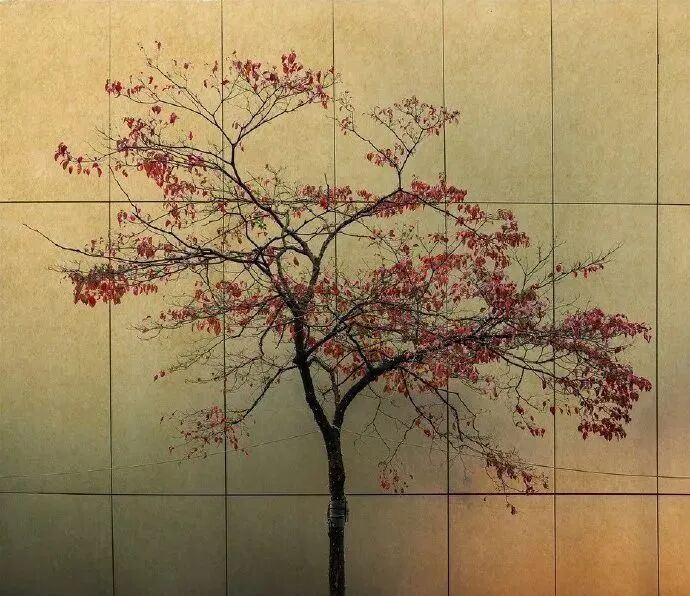 2021年6月12日懂懂日记《厕所里竟然有纸》摘录