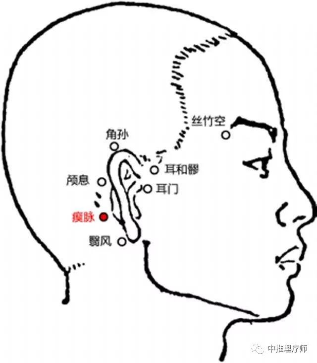 每日一穴 瘈脉穴 熄风解痉 活络通窍 中推理疗师 微信公众号文章阅读 Wemp