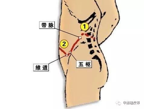 带脉不通对人体的危害 中推理疗师 微信公众号文章阅读 Wemp