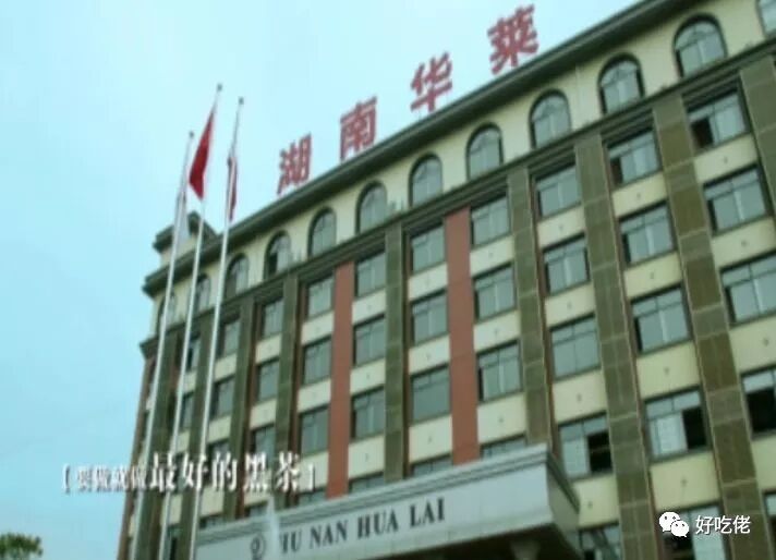 湖南华莱之安化黑茶寻味记