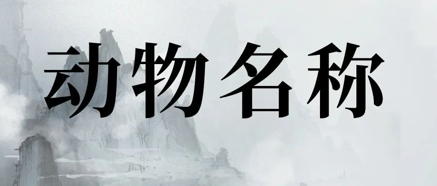 形容豪爽大气的成语