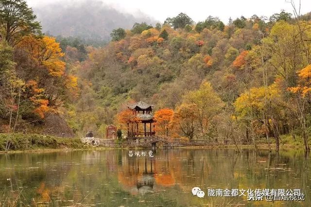 手機和相機拍照，圖質差別有多大？同時拍攝，比較了才知道！ 科技 第3張