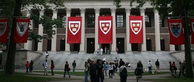 哈佛本科毕业生去向关键词：金融、内卷、不急着改变世界