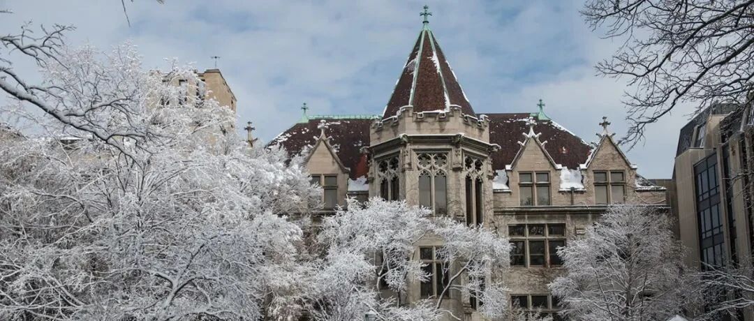 被牛津惨拒后，我被芝大录了！每天4:30起床的普高留学党是如何准备申请的？