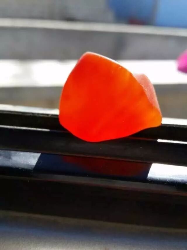 自从玩了金丝玉 视金丝玉为最爱了 