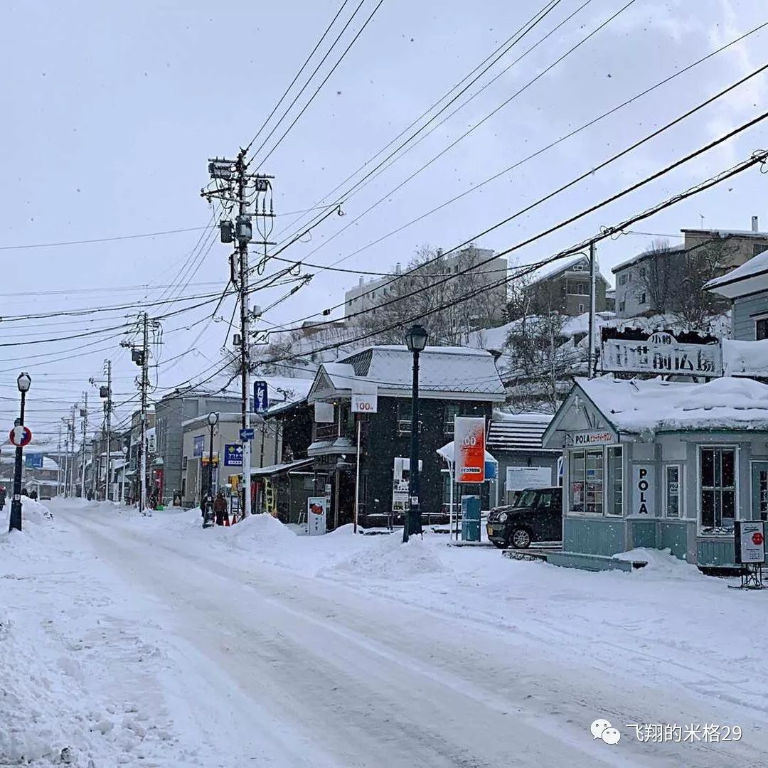 春节北海道自由行攻略