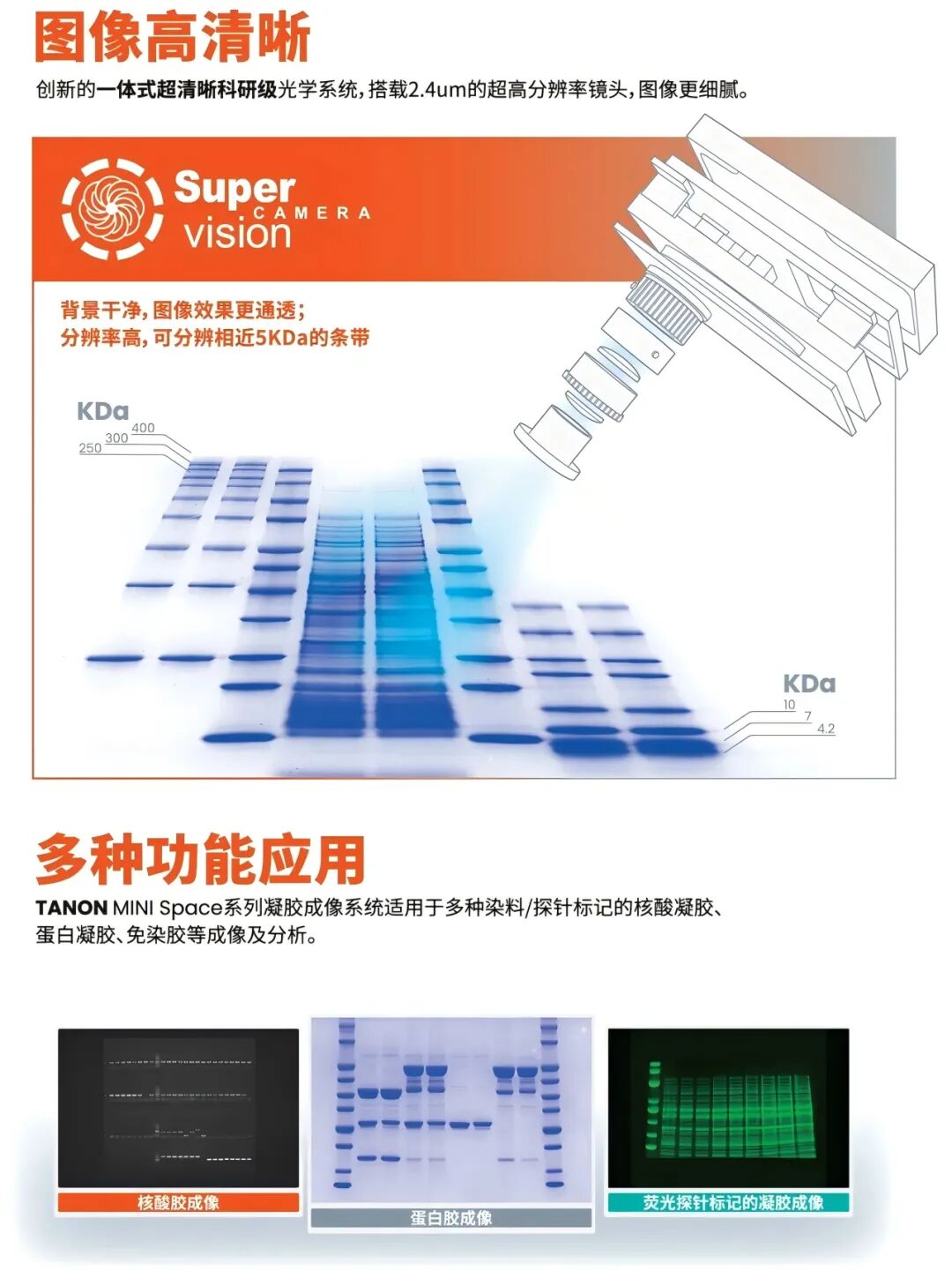 譽(yù)見(jiàn) • 新質(zhì)生產(chǎn)力丨上海天能