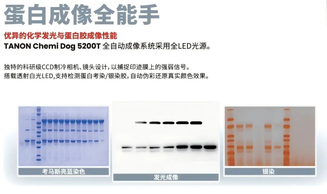 譽(yù)見(jiàn) • 新質(zhì)生產(chǎn)力丨上海天能