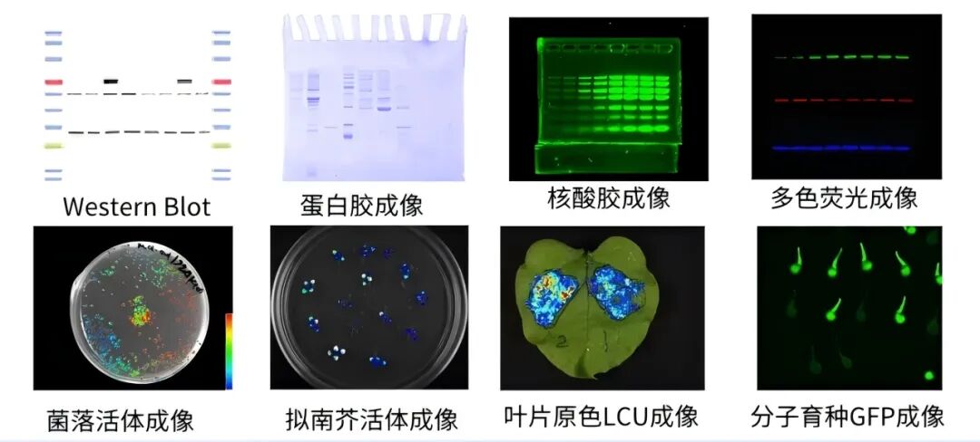 譽(yù)見(jiàn) • 新質(zhì)生產(chǎn)力丨上海天能