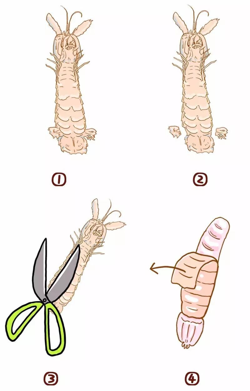 用了这4种方法,再也不怕皮皮虾扎手啦!