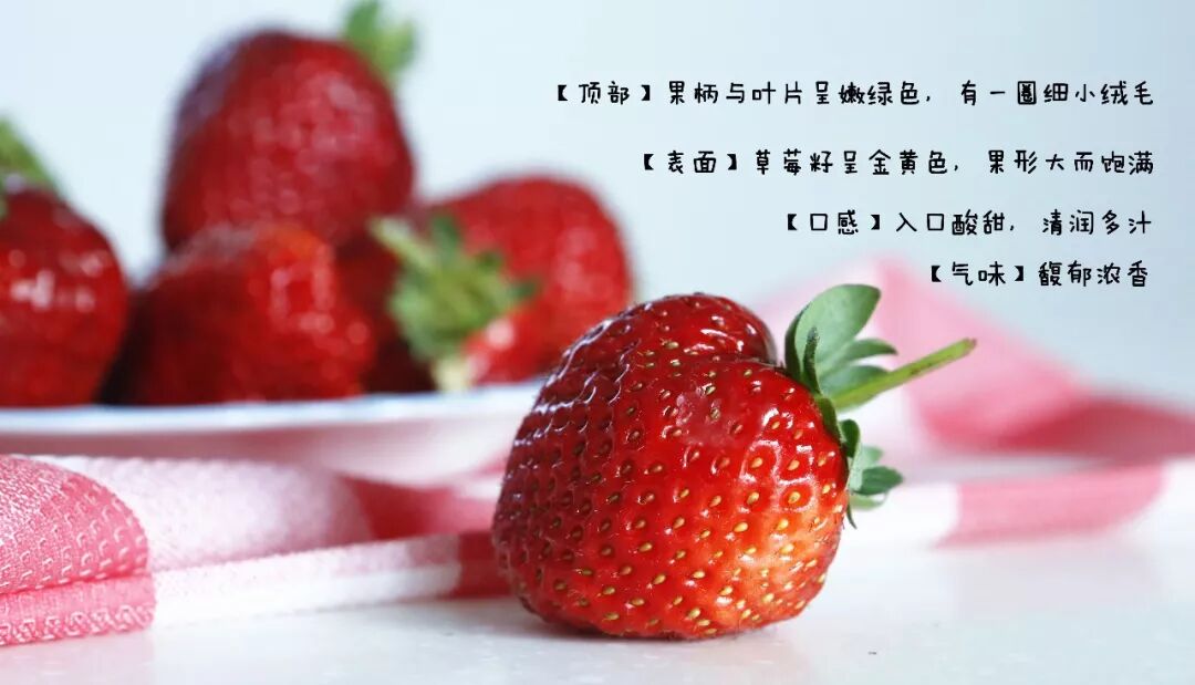 当然,草莓还有很多不同的品种,我只是挑了几个市面上比较常见的说说哈
