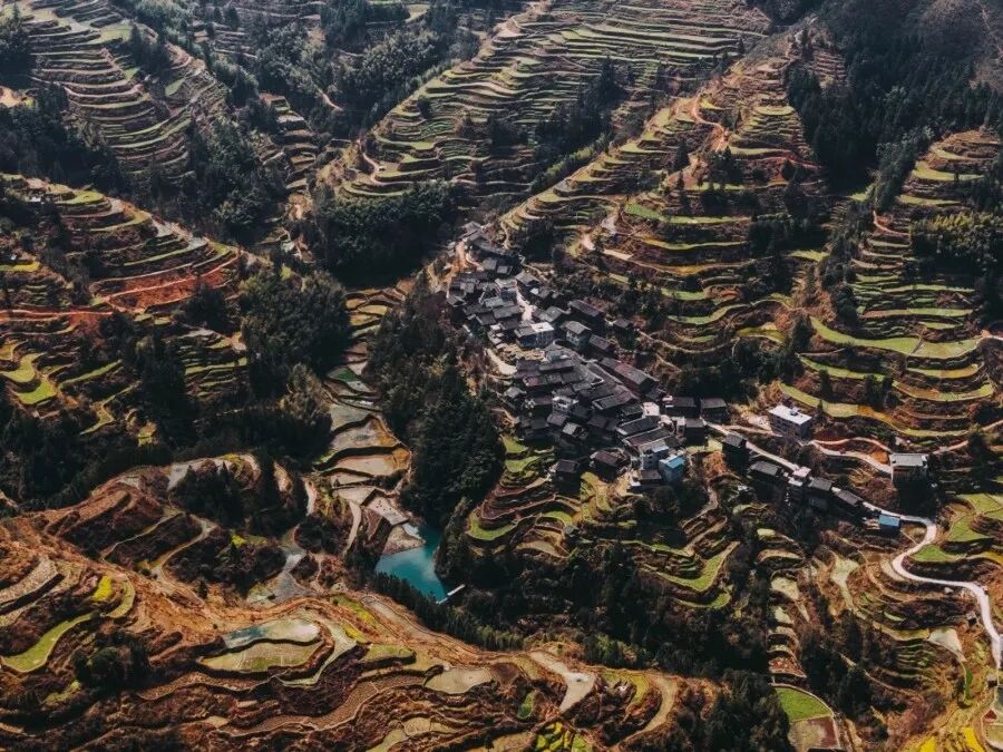 640?wx_fmt=jpeg&tp=webp&wxfrom=5&wx_lazy=1&wx_co=1