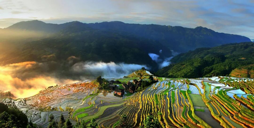 640?wx_fmt=jpeg&tp=webp&wxfrom=5&wx_lazy=1&wx_co=1