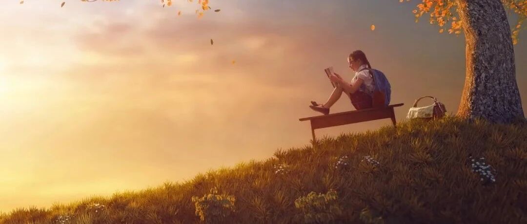 教育最大的骗局，叫做释放孩子的天性（深度好文）