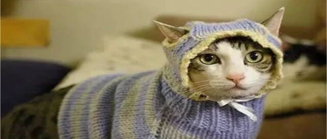 中国家长的一天！简直太形象了～刷爆朋友圈！