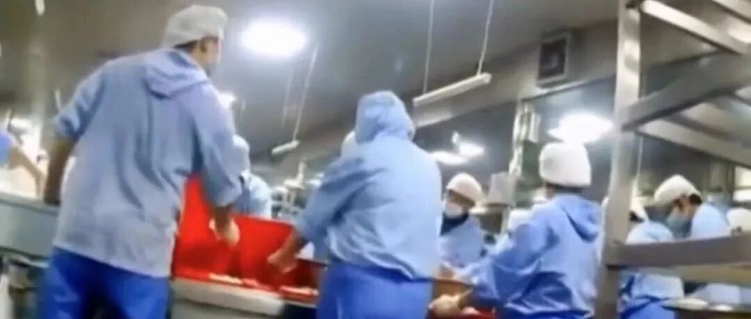 中小学午餐似猪食，后厨堪比垃圾场，家长很愤怒，后果很严重！