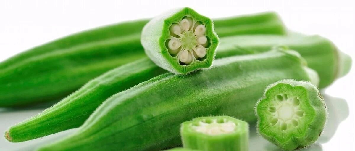 微信公众号英语口语微课 Yingyukouyuweike 最新文章 微信公众号文章阅读 Wemp