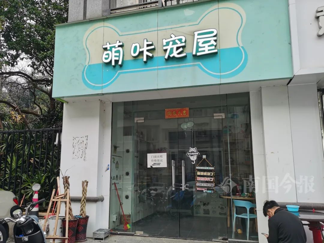 宠物狗店_临夏宠物狗店_附近宠物狗店