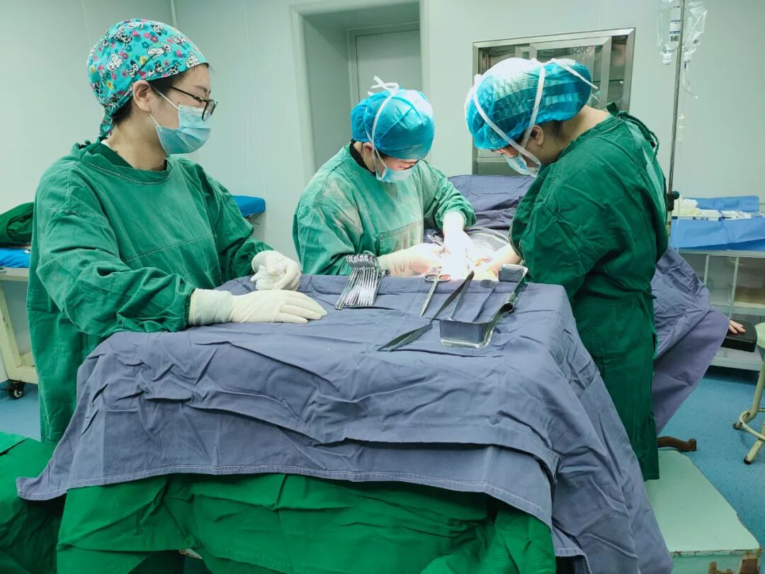 什么叫无影灯走进手术室，你看见了什么？_https://www.jmylbn.com_新闻资讯_第25张