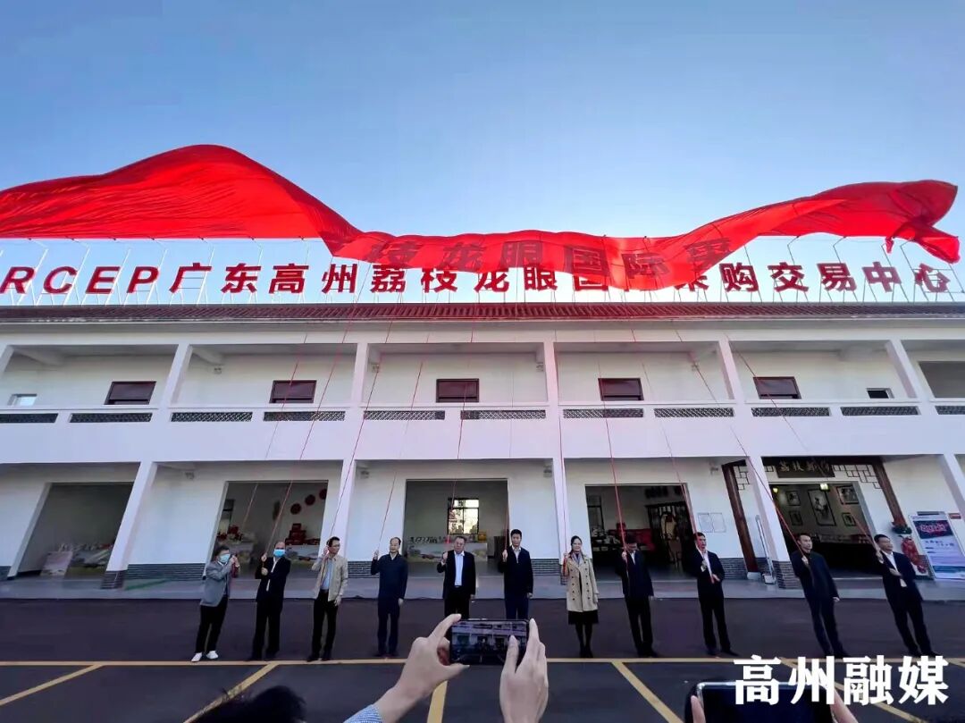 茂名市高州市根子镇人民政府