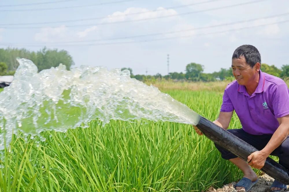 肥西花岗镇全力抗旱保秋收
