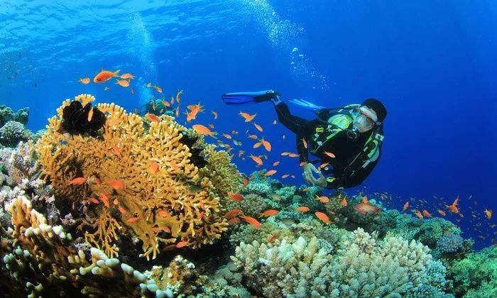 去留尼汪岛看海洋之阔,与海洋亲密接触的12种不同方式