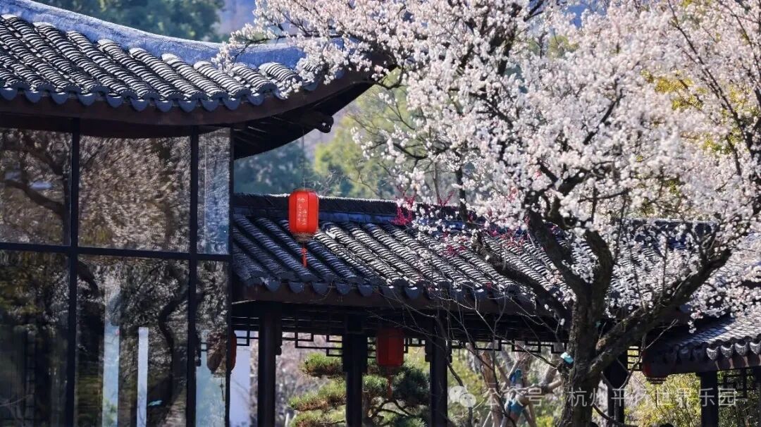杭州平行世界乐园水乐园7月开业5折 618元起暑期不加价
