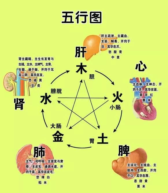 古中医“五行脏腑辨证”（收藏版）