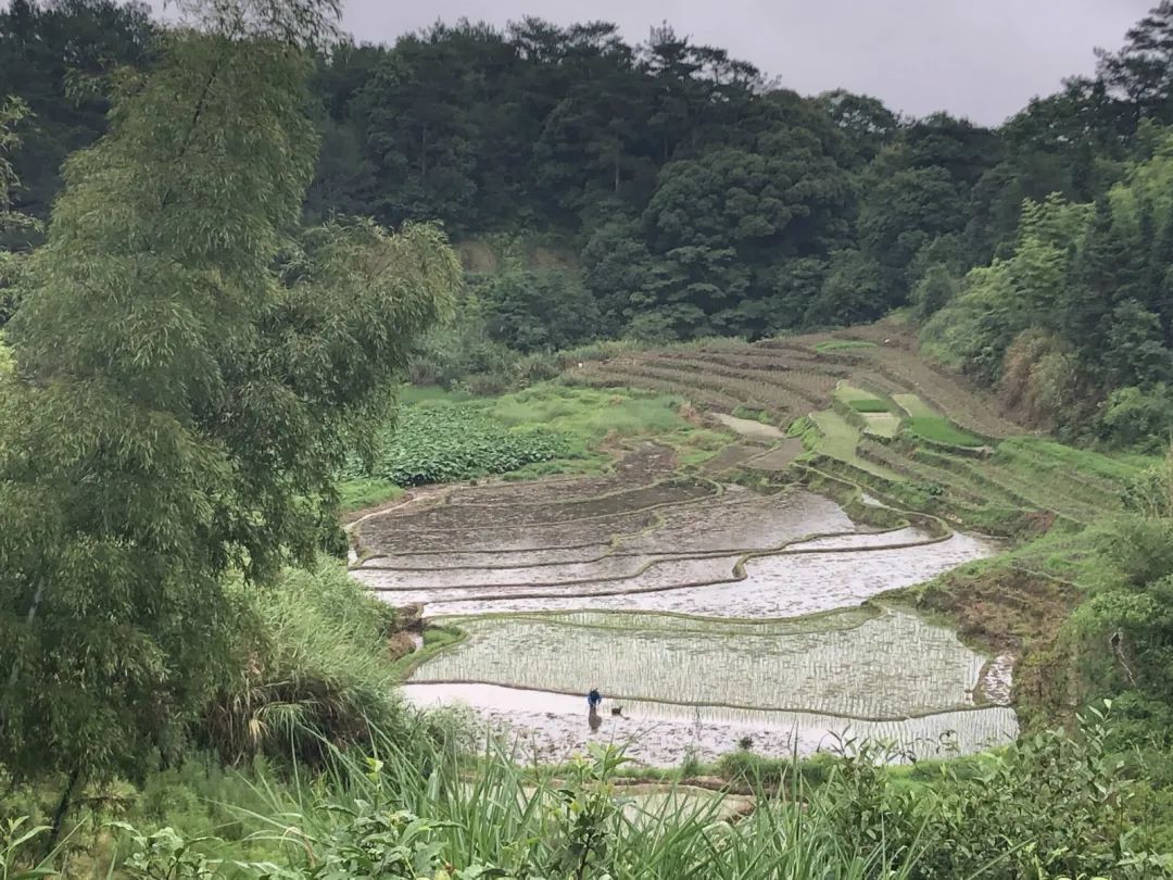 看閩清,！美麗鄉(xiāng)村,！上豐古村