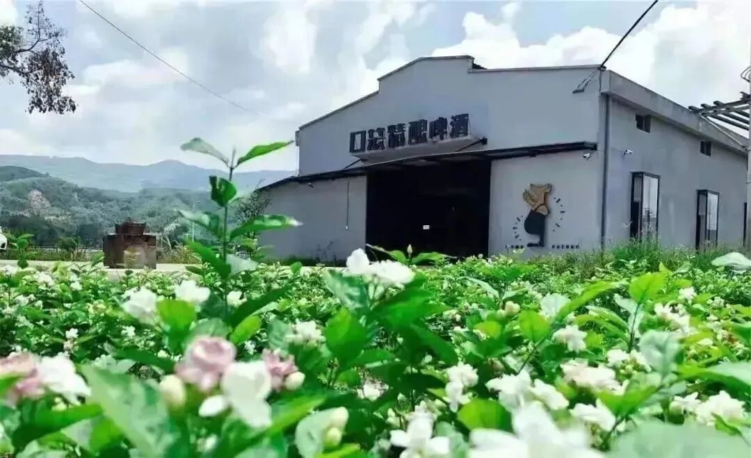 闽清县首个！快来这个乡镇取经！~