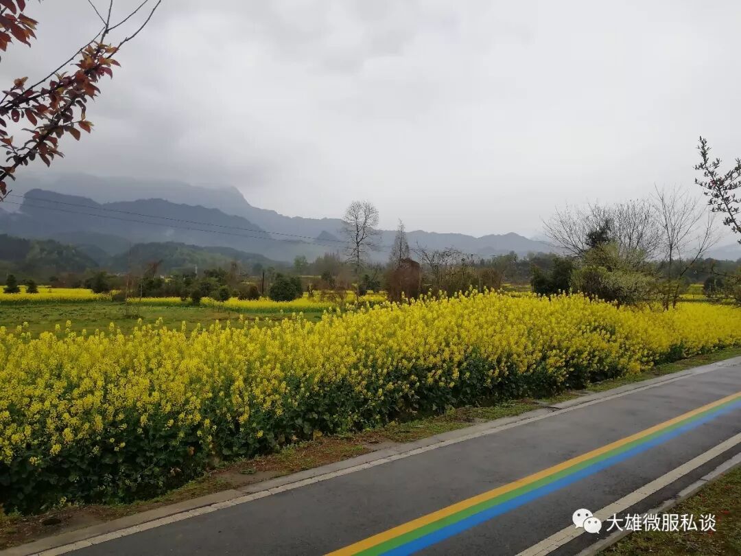 一步一个脚印穿越千年文化