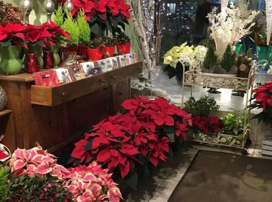 florist2.JPG