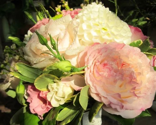 florist1.JPG