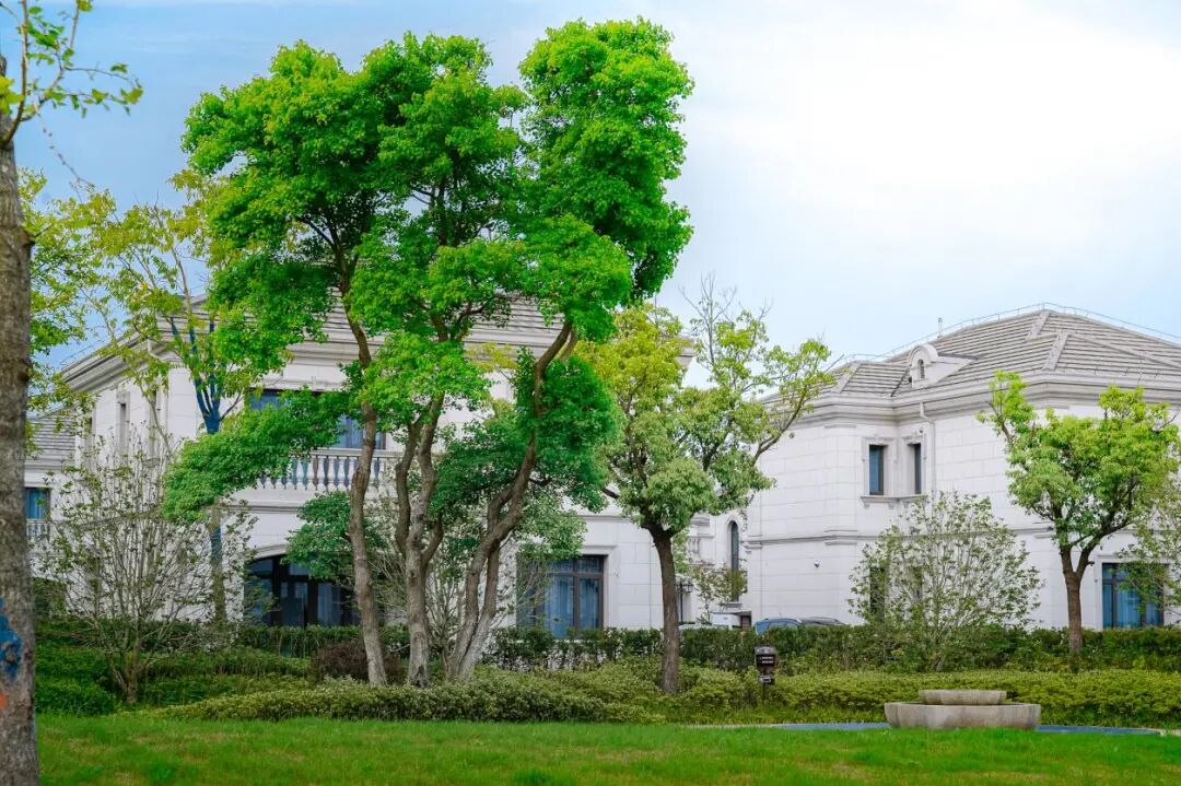 �˾�300+�а�ħ�����Ա������������������ĩ�ɶԿ񻶣�