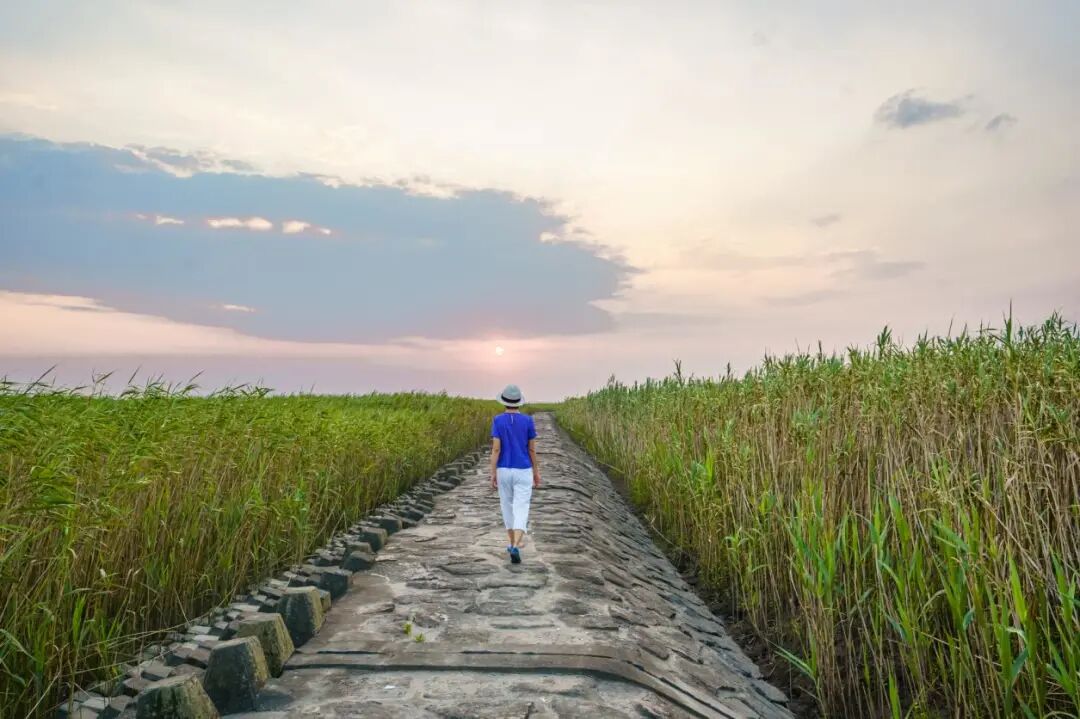 �˾�300+�а�ħ�����Ա������������������ĩ�ɶԿ񻶣�