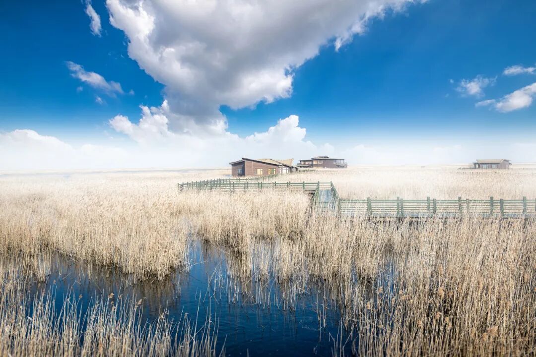 �˾�300+�а�ħ�����Ա������������������ĩ�ɶԿ񻶣�