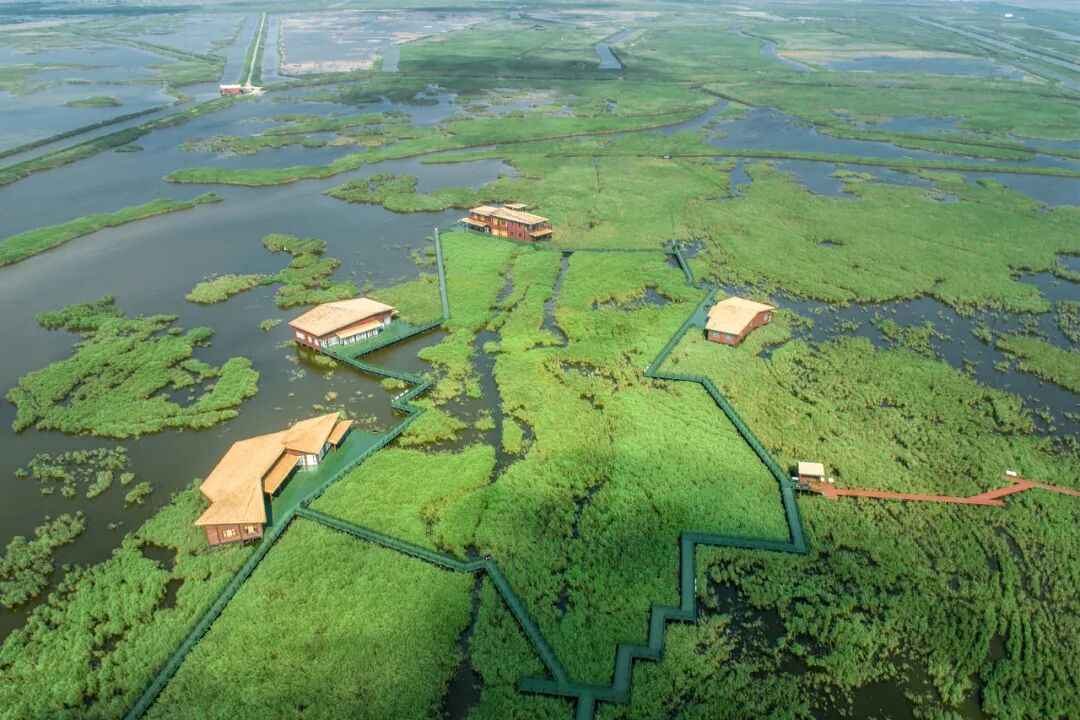 �˾�300+�а�ħ�����Ա������������������ĩ�ɶԿ񻶣�