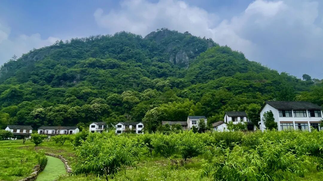 �����ѡ�����ڿ��ã������Լ۱ȳ����������ˣ�