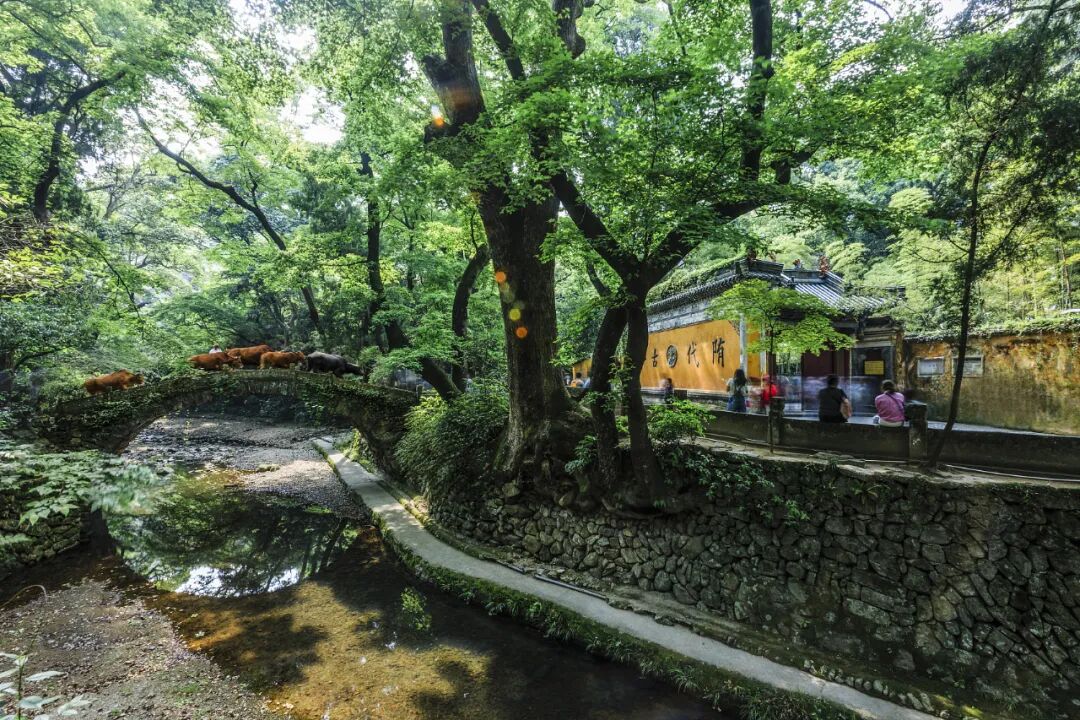 �����ڽ���С�ǵ��ؾ������������ԣ����л���һ���ٲ���