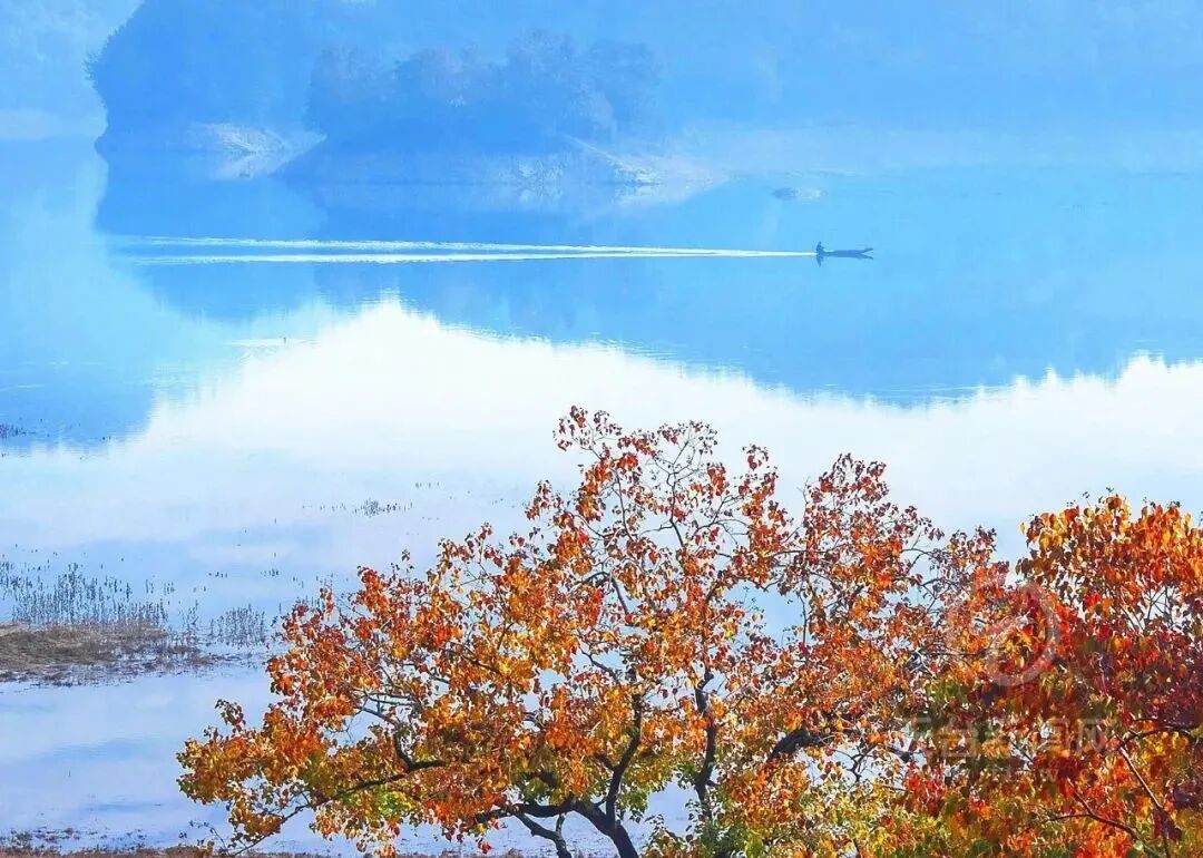 �����ڽ���С�ǵ��ؾ������������ԣ����л���һ���ٲ���