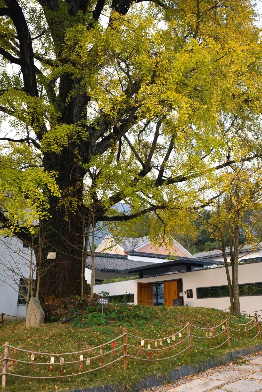 �����ѡ�����ڿ��ã������Լ۱ȳ����������ˣ�