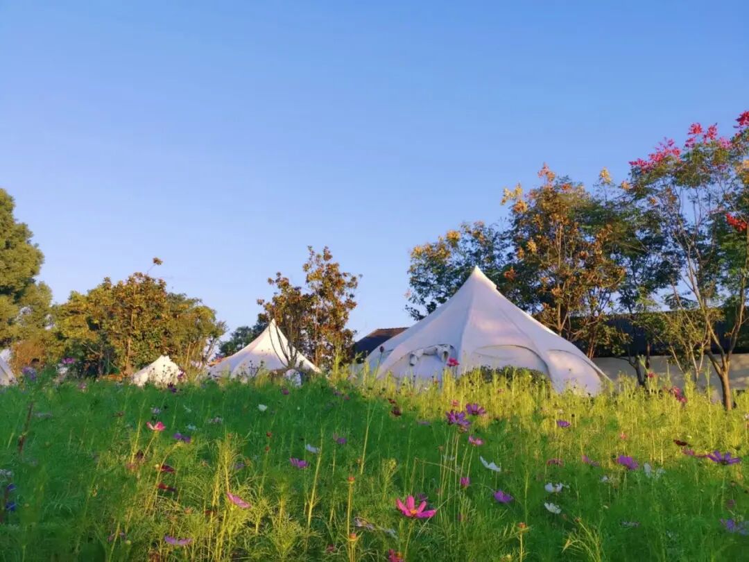 ħ���ܱߵ��ؾ�¶Ӫ�أ������տ��������Ӱ��ȫ�����